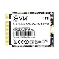 EVM 1TB M.2 NVMe PCIe 2230 SSD for compact laptops and desktops